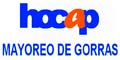 Hocap logo