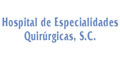 Hospital De Especialidades Quirurgicas Sc logo