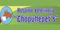 HOSPITAL VETERINARIO CHAPULTEPET'S logo