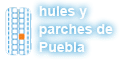 HULES Y PARCHES DE PUEBLA logo