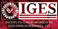 IGES logo