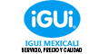IGUI SAN PEDRO logo