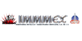 IMMMEX logo