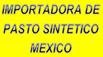 Importadora De Pasto Sintetico Mexico logo