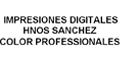 Impresiones Digitales Hnos Color Professional logo