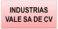 Industrias Vale Sa De Cv logo