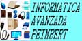 Informatica Avanzada Peimbert logo
