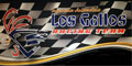 Ingenieria Automotriz Los Gallos logo