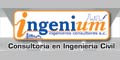 Ingenium logo