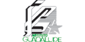 INSTITUTO GUADALUPE logo