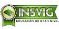 Insvig logo