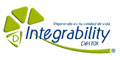 Integrability Destox logo