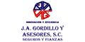 J.A. Gordillo Y Asesores Sc