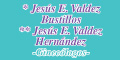 Jesus E Valdez Bustillos logo
