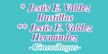 Jesus E Valdez Bustillos