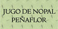 Jugo De Nopal Peñaflor