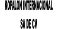 Kopalon Internacional Sa De Cv logo