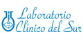 Laboratorio Clinico Del Sur