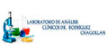 Laboratorio De Analisis Clinicos Dr Rodriguez Chagollan logo