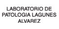 LABORATORIO DE PATOLOGIA LAGUNES ALVAREZ