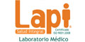 Lapi Sa De Cv logo