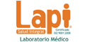 Lapi Sa De Cv logo