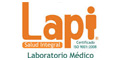 Lapi, Sa De Cv logo