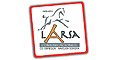 Larsa Comunicaciones logo