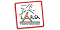 Larsa Comunicaciones