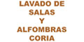 Lavado De Salas Y Alfombras Coria