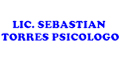 Lic Sebastian Torres Psicologo logo