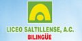 LICEO SALTILLENSE AC logo