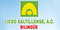LICEO SALTILLENSE AC