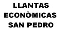 Llantas Economicas San Pedro logo
