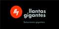 Llantas Gigantes logo