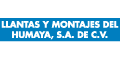 Llantas Y Montajes Del Humaya logo