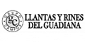 LLANTAS Y RINES DEL GUADIANA logo