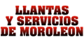 LLANTAS Y SERVICIOS DE MOROLEON SA DE CV logo