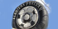 Llantera Galvan logo