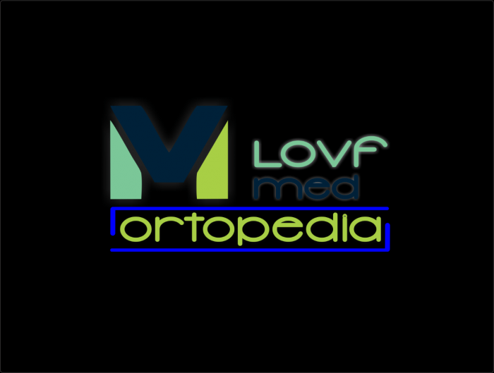 lovfmed logo