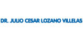 LOZANO VILLELAS JULIO CESAR DR logo