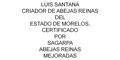Luis Santana Criador De Abejas Reinas Del Estado De Morelos, Certificado Por Sagarpa Abejas Reinas Mejoradas