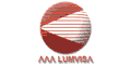 Lumvisa logo