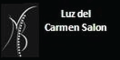 Luz Del Carmen Salon logo