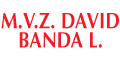 M.V.Z. David Banda L.