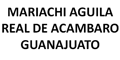 Mariachi Aguila Real De Acambaro Guanajuato logo