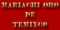 MARIACHI ORO DE TEMIXCO logo