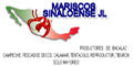 Mariscos Sinaloense Jl