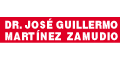 MARTINEZ ZAMUDIO JOSE GUILLERMO DR.