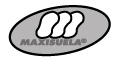 MAXISUELA SA DE CV logo